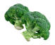 کلم بروکلی تازه