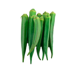 کدو خورشتی