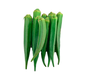کدو خورشتی