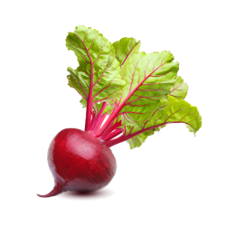 تربچه