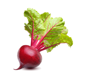 تربچه