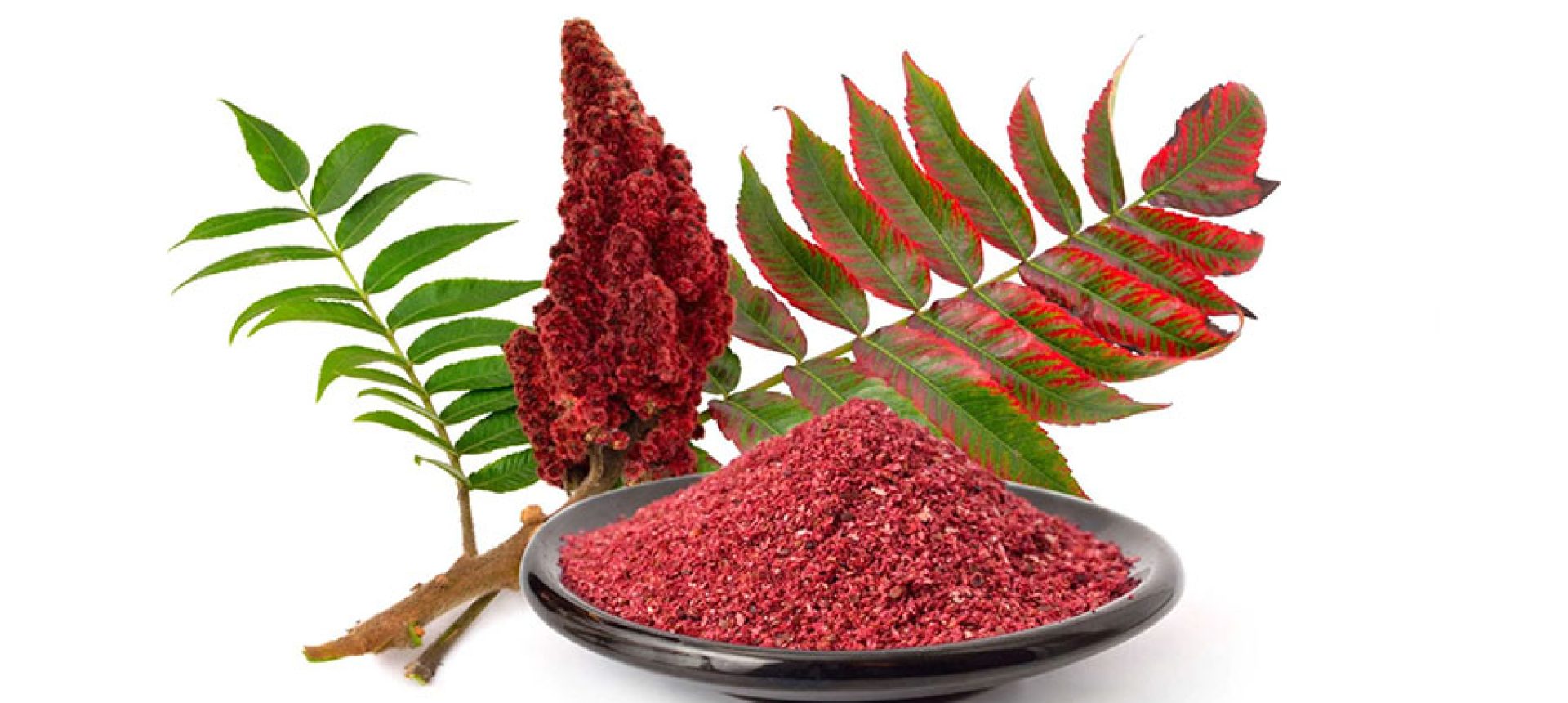 خواص سماق، فواید این چاشنی ترش و پرخاصیت برای بدن