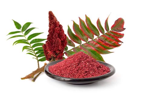 خواص سماق، فواید این چاشنی ترش و پرخاصیت برای بدن